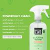 image:imageBetter Life Toilet Bowl Cleaner 1Pack  All Purpose Cleaner 24 Oz 1Pack Clary Sage and Citrus