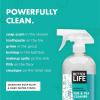 image:imageBETTER LIFE Bathroom Cleaner  Tea Tree Bathtub amp Shower Cleaner Spray for Glass and Tile  Foaming Mold and Mildew Remover for Tub Works on Hard Water Stains  32oz Pack of 132 Fl Oz Pack of 2